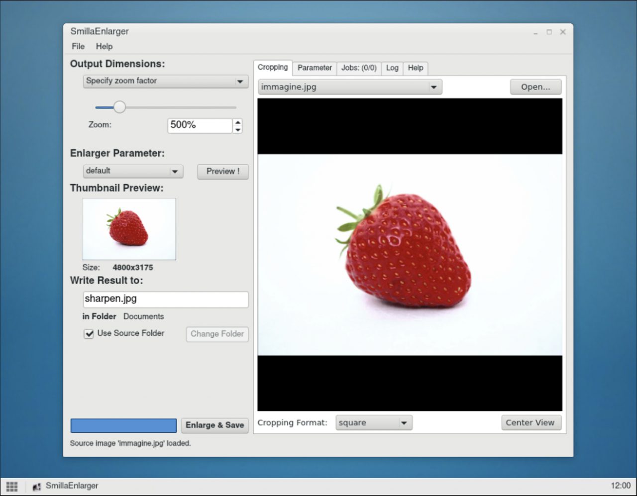 SmillaEnlarger - Fragola - Filtro: sharpen